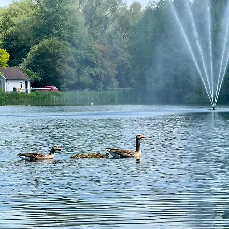 Luxury Kingfisher Lodge, Isis Lake, Within The Cotswold Waterpark 赛伦塞斯特 外观 照片