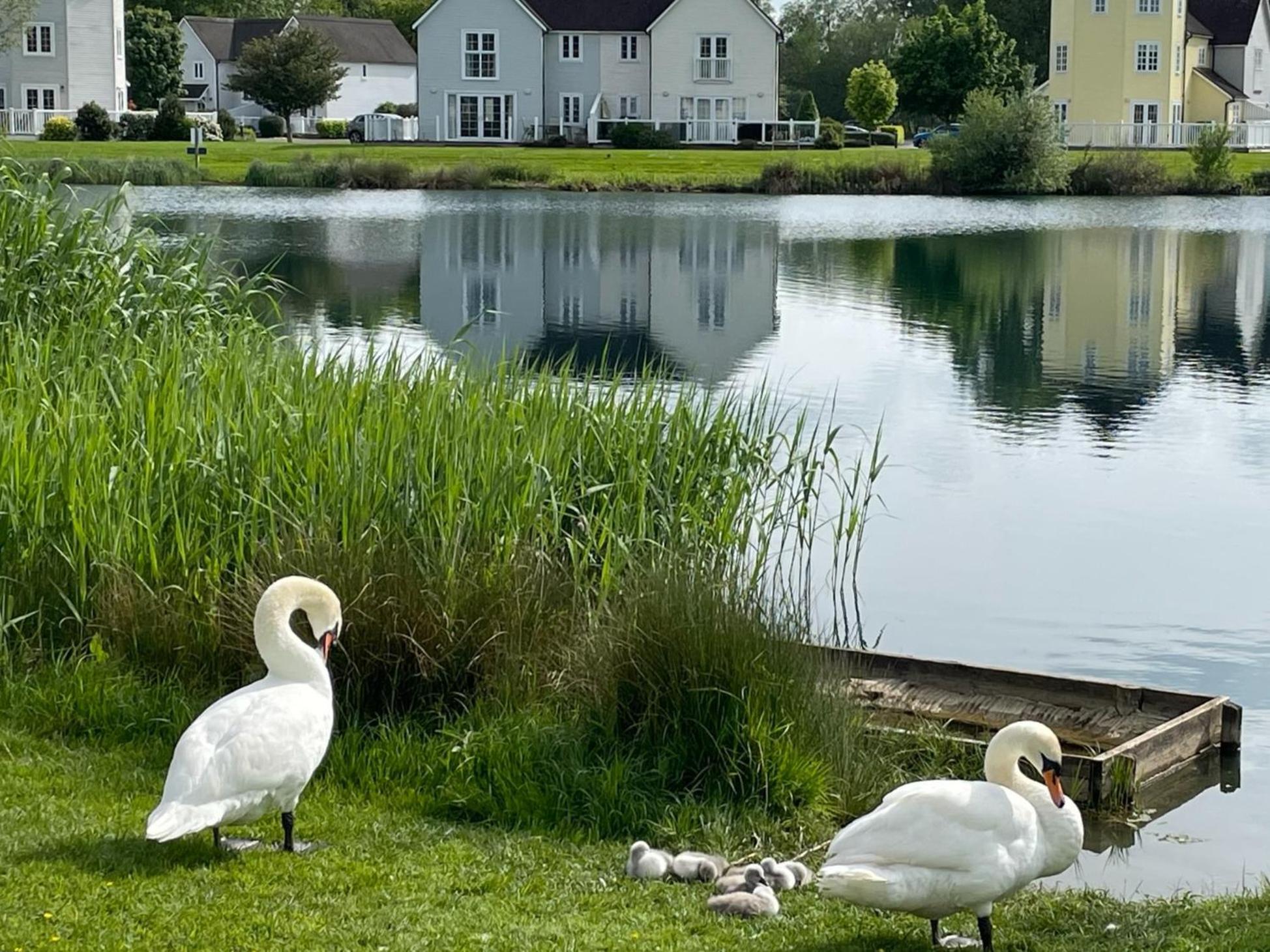 Luxury Kingfisher Lodge, Isis Lake, Within The Cotswold Waterpark 赛伦塞斯特 外观 照片