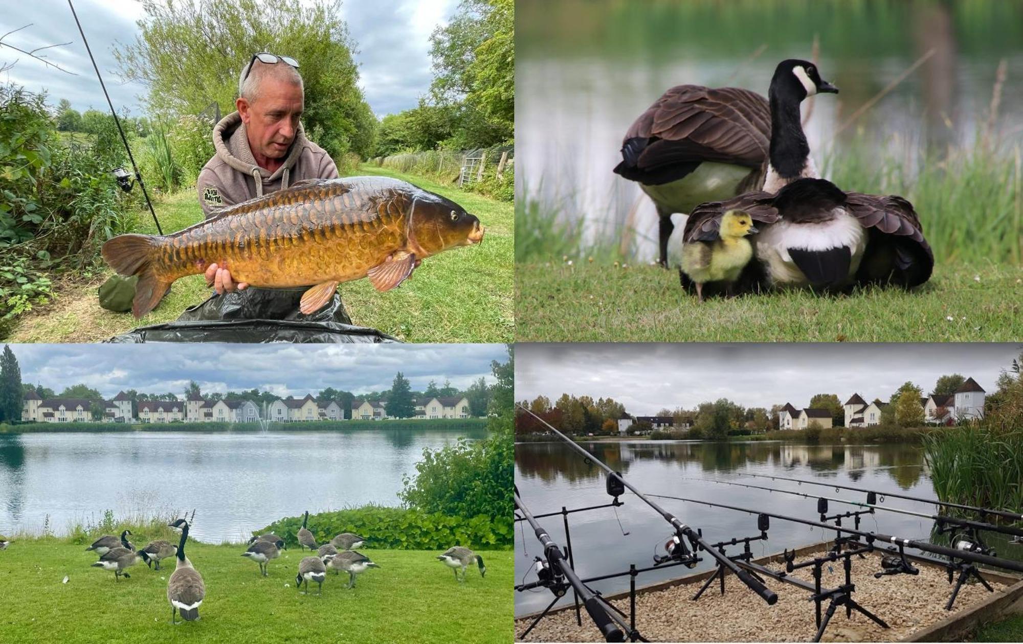 Luxury Kingfisher Lodge, Isis Lake, Within The Cotswold Waterpark 赛伦塞斯特 外观 照片