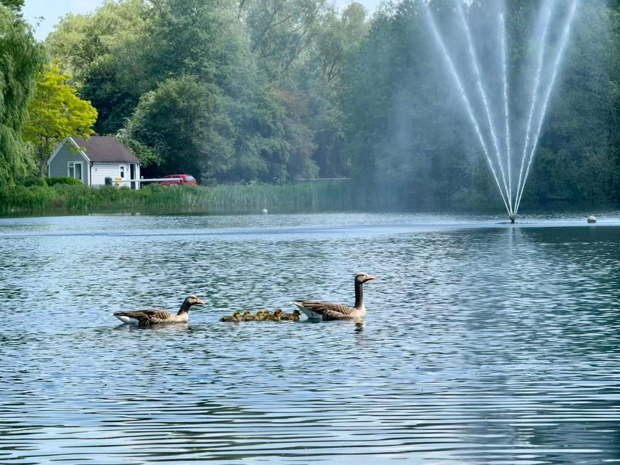 Luxury Kingfisher Lodge, Isis Lake, Within The Cotswold Waterpark 赛伦塞斯特 外观 照片